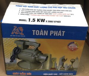 Máy đầm dùi điện Toàn Phát 1.5KW - 220V